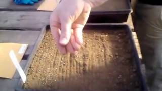 How to Plant Grass Seed -- the 5 Basic Steps
