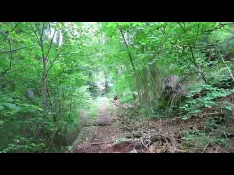 Standseilbahn 7310.01 Bad Ragaz - Wartenstein Berggang Teil 2