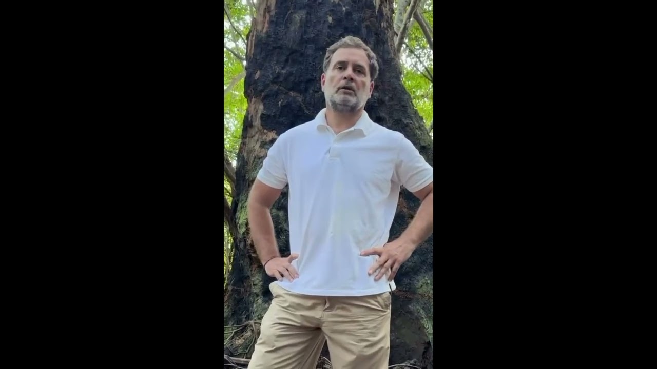 Rahul Gandhi raises alarm over forest loss in Nicobar Islands