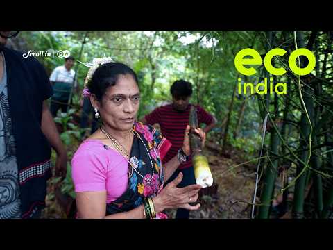 India: Why urban foraging helps conserve green spaces