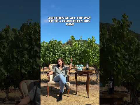 New to wine drinking? Our winemakers have some advice for you! 🍷