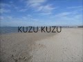 Kuzu Kuzu-Tarkan (Lyrics)