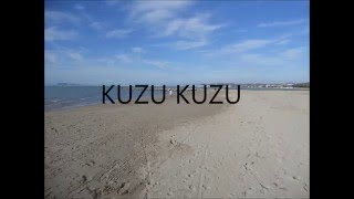 Kuzu Kuzu-Tarkan (Lyrics)