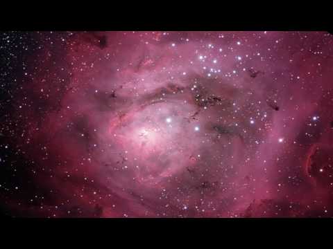 Siberian Son - Absolutely Free