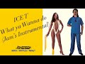 Ice T - What ya Wanna do [Jam's Inst Version]