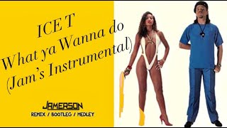Ice T - What ya Wanna do [Jam&#39;s Inst Version]
