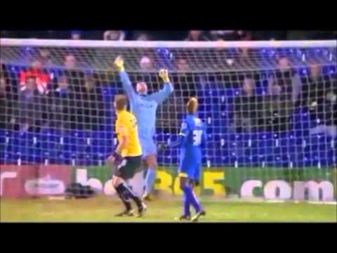 'We Are Staying Up' the AFC Wimbledon survival story