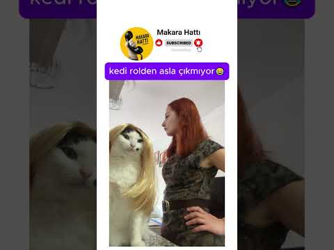 kedi rolden asla çıkmıyor 😊😂