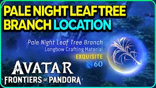 Pale Night Leaf Tree Branch (Exquisite) Location Avatar Frontiers of Pandora