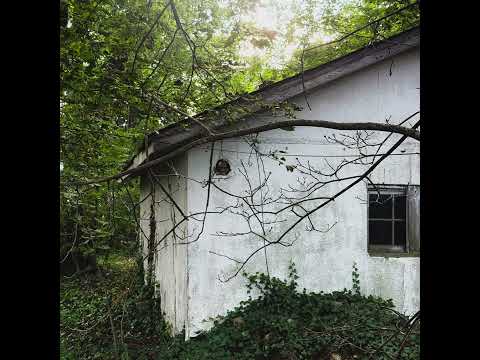 The Wrens - Album 4.5 (Mastered by Dana Why)