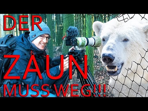 FOTOGRAFIEREN LERNEN #5 🐺 Durch den Zaun fotografieren - ABER WIE??