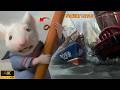 Stuart Little Epic Boat Race Victory 4k Scene