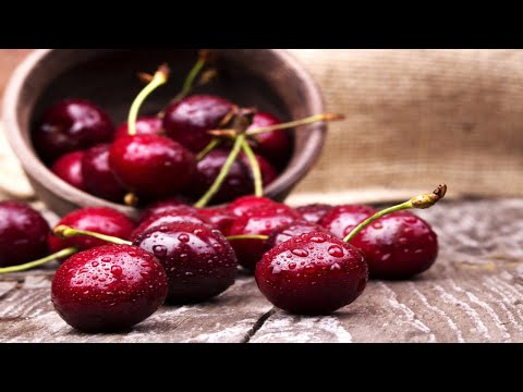 Recette : Compote cerise bébé