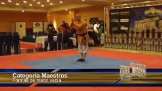 Carlos Alvarez (Formas Maestros) International Martial Open "Parque Warner" 2013