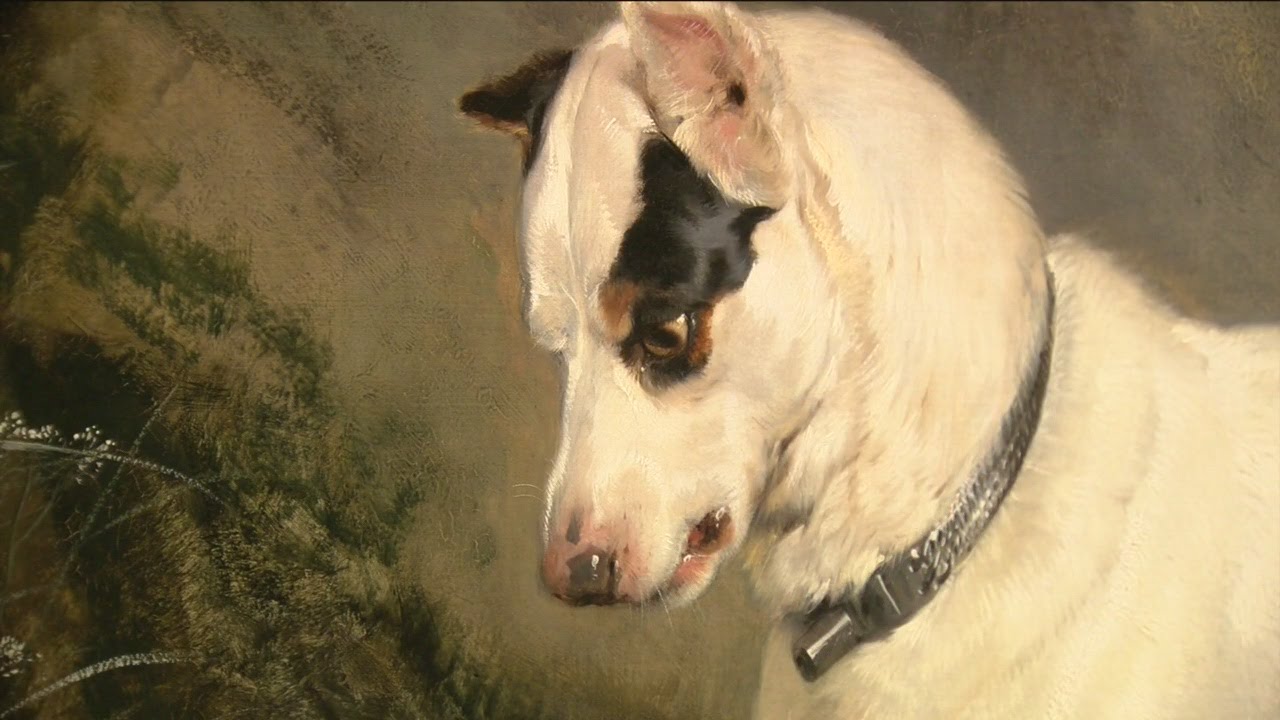 Milwaukee Art Museum coloring book