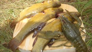 На что ловить креветок в десногорске