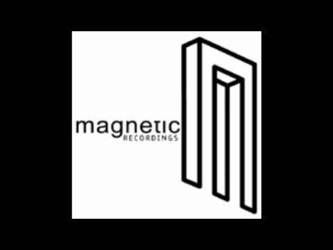 Dj Sneak-Hoes N Disco.