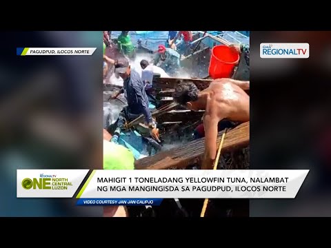 One North Central Luzon: Mahigit 1 toneladang yellowfin tuna, nalambat sa Ilocos Norte