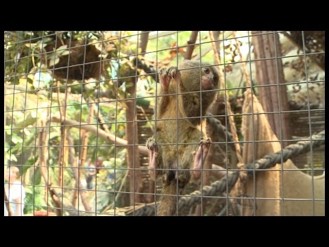 Darwineum im Rostocker Zoo