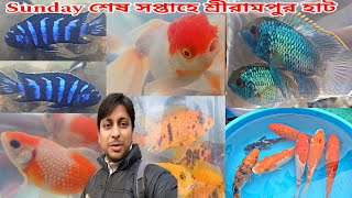 Sunday Serampore Fish Haat | Aquarium Fish Shrirampur Pet Haat | Aquarium Fish Shop | Serampore Haat