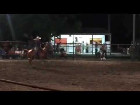 Shes a perks allendale,MO 2018