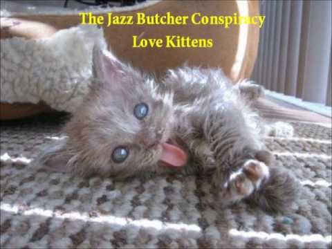 The Jazz Butcher Conspiracy - Love Kittens (HQ Audio)