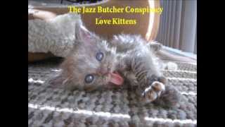 The Jazz Butcher Conspiracy - Love Kittens (HQ Audio)