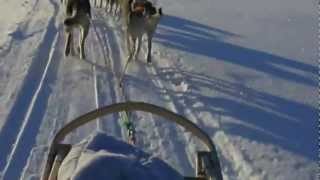 preview picture of video 'Husky sled tour Inari lake Finland'