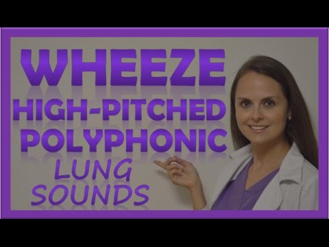 Wheezes Lung Sounds High Pitched Polyphonic Wheeze Sibilant Wheeze Rhonchi Abnormal Breath Sounds