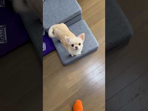 元気だね