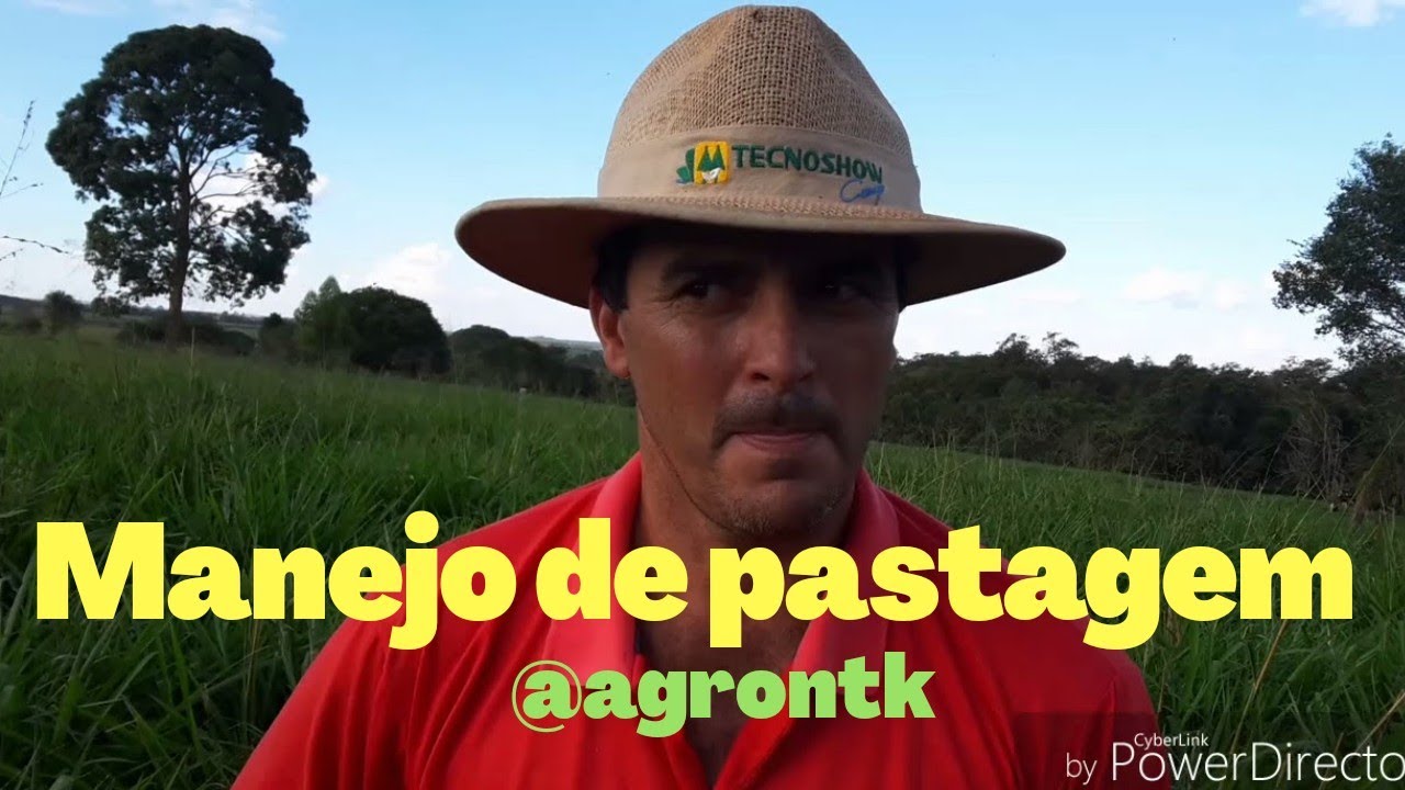 15. Manejo de pastagem para gado de leite no sistema de pastejo rotacionado