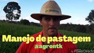 15. Manejo de pastagem para gado de leite no sistema de pastejo rotacionado