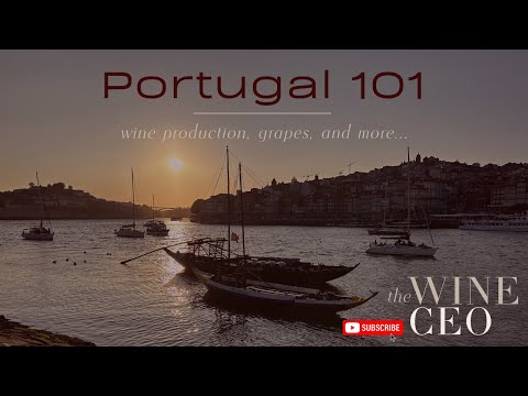Portugal 101: A wine overview of regions, grapes, labels, and more!