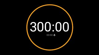 300 Minute Timer with Alarm