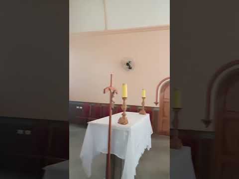 #shorts #short #shortvideo #shortsvideo #shortsfeed #brasil #minasgerais #beautiful #culture #art