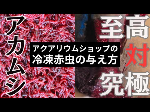 IUCN分類における絶滅の危険性を示す図。