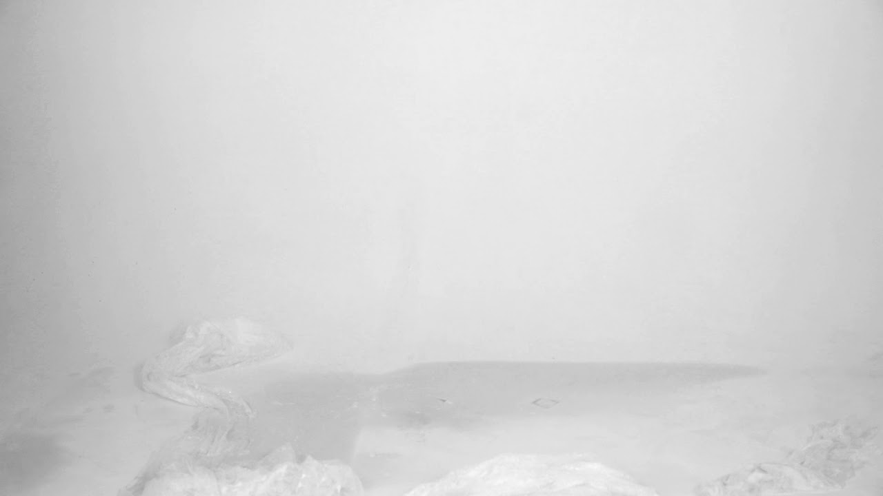 O Banquete (The Symposium)-  Trailer