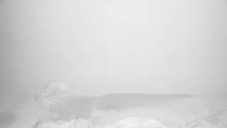 O Banquete (The Symposium)-  Trailer