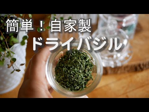 バジルの乾燥: スパイスをストックするためのヒント 植物
