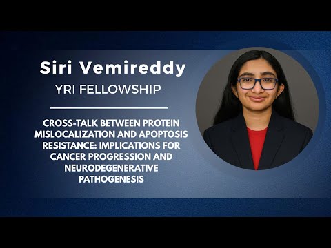 Protein Mislocalization in Cancer Cells