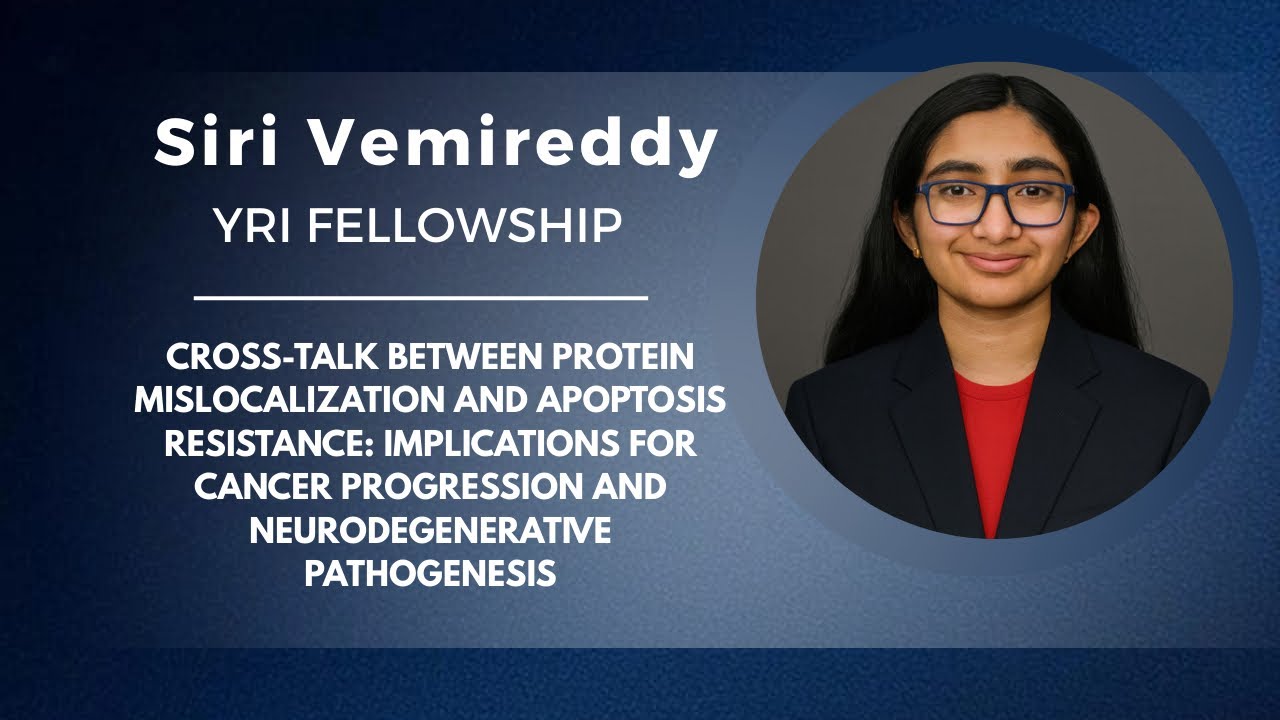 Protein Mislocalization in Cancer Cells