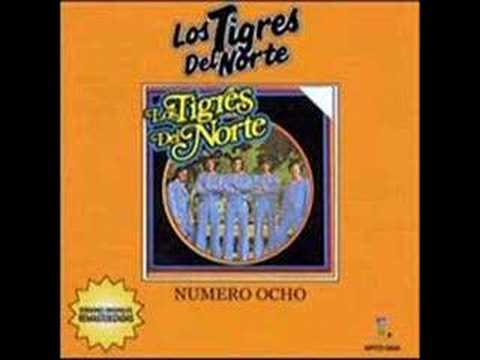 Video thumbnail for El pájaro prieto