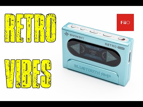 Snowsky Retro Nano Review