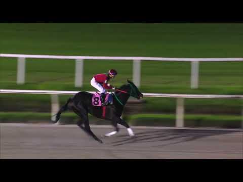 230520 c09 - 1° PARABOLICA - - HIPODROMO DE MARONAS