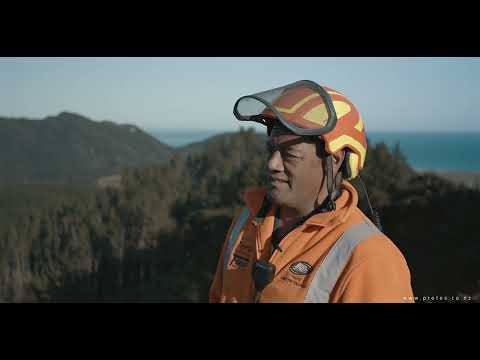 BaSt-Ing Wedge Video