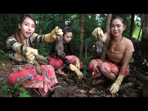 Yummy cooking find and cook fried frogs while rain recipe