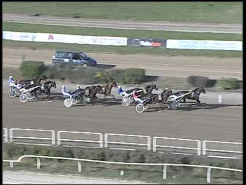 Trotto 02/11/2014 - 1° corsa