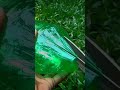 Fish And Crab Catching Bottle Trap Video To Full Video Go To The Main Channel
