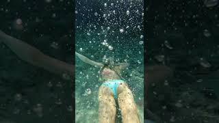 isn’t it beautiful?? #viral #swimming #spring