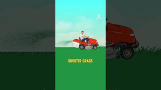 Why do they water football pitches at half time?